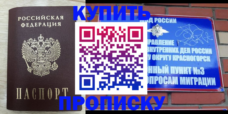 прописка гарантия в Северске